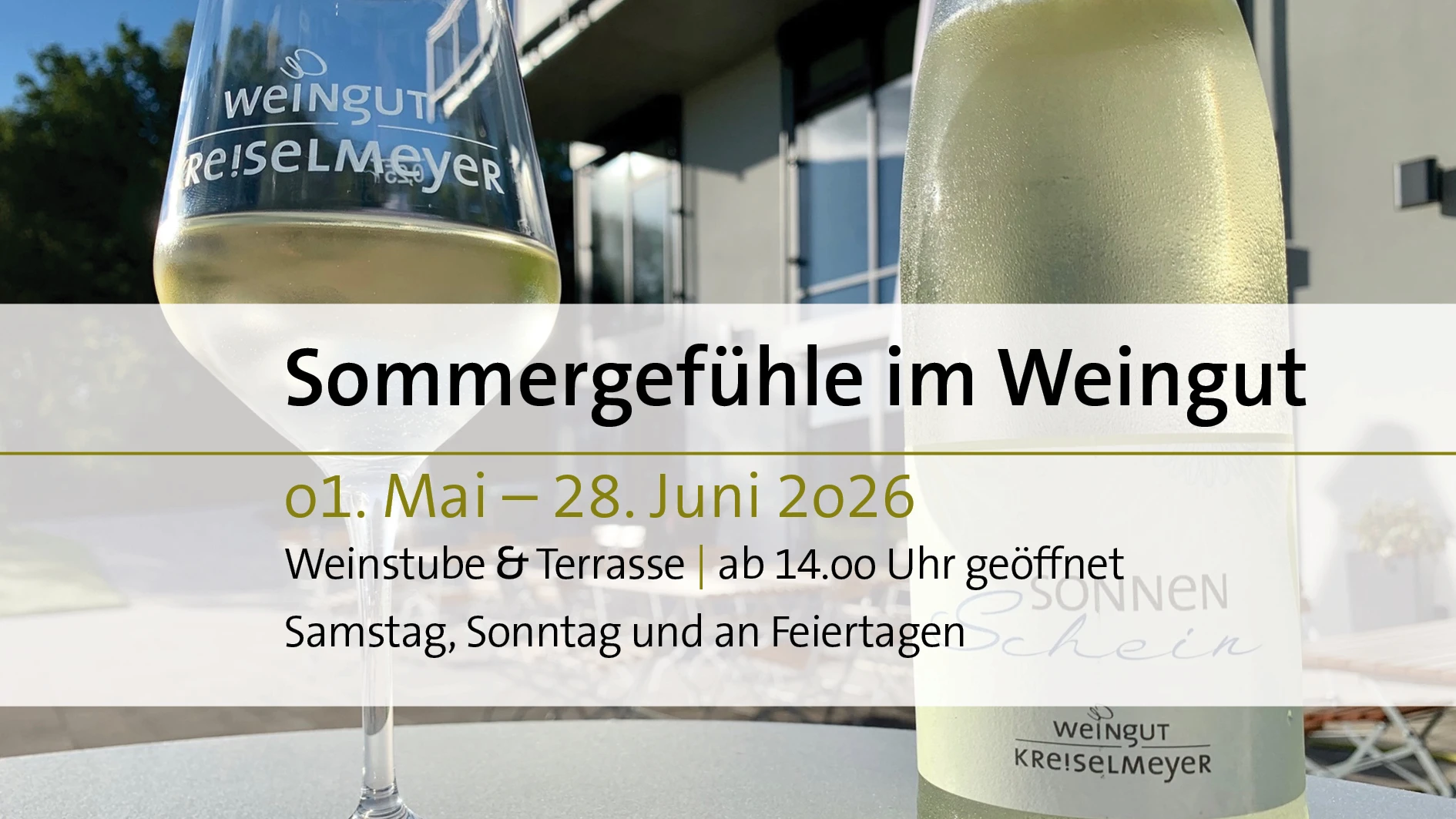 Sommergefühle im Weingut