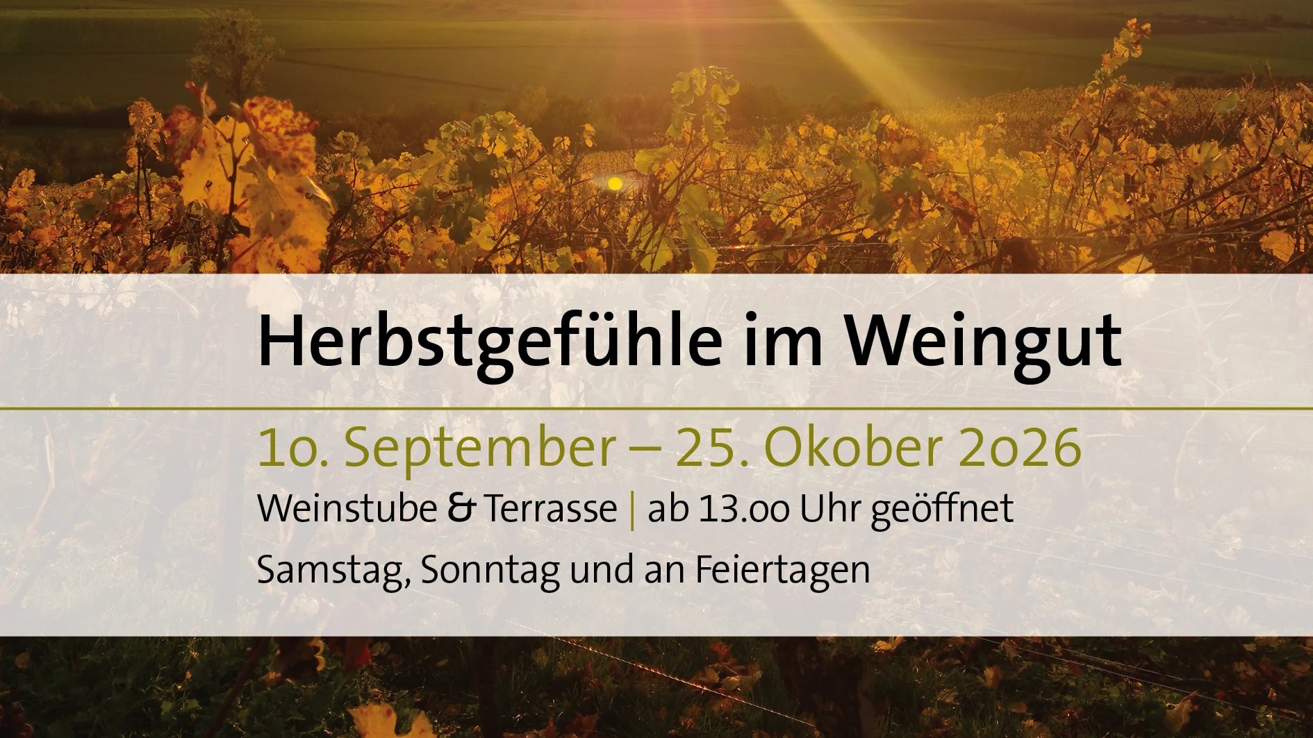 Herbstgefühle im Weingut