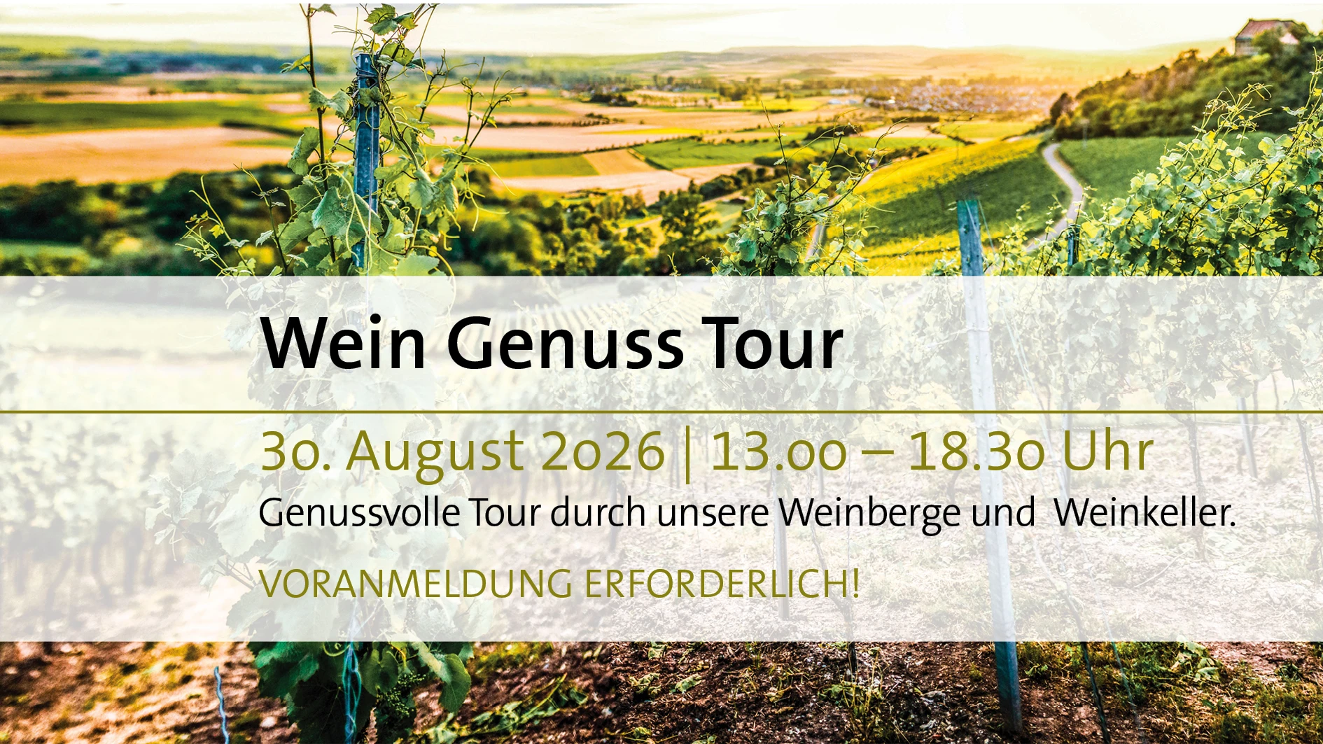 Wein Genuss Tour