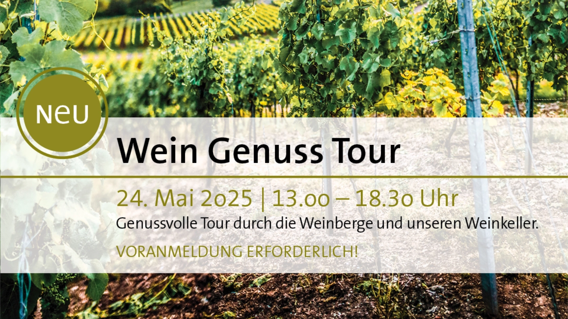 Wein Genuss Tour