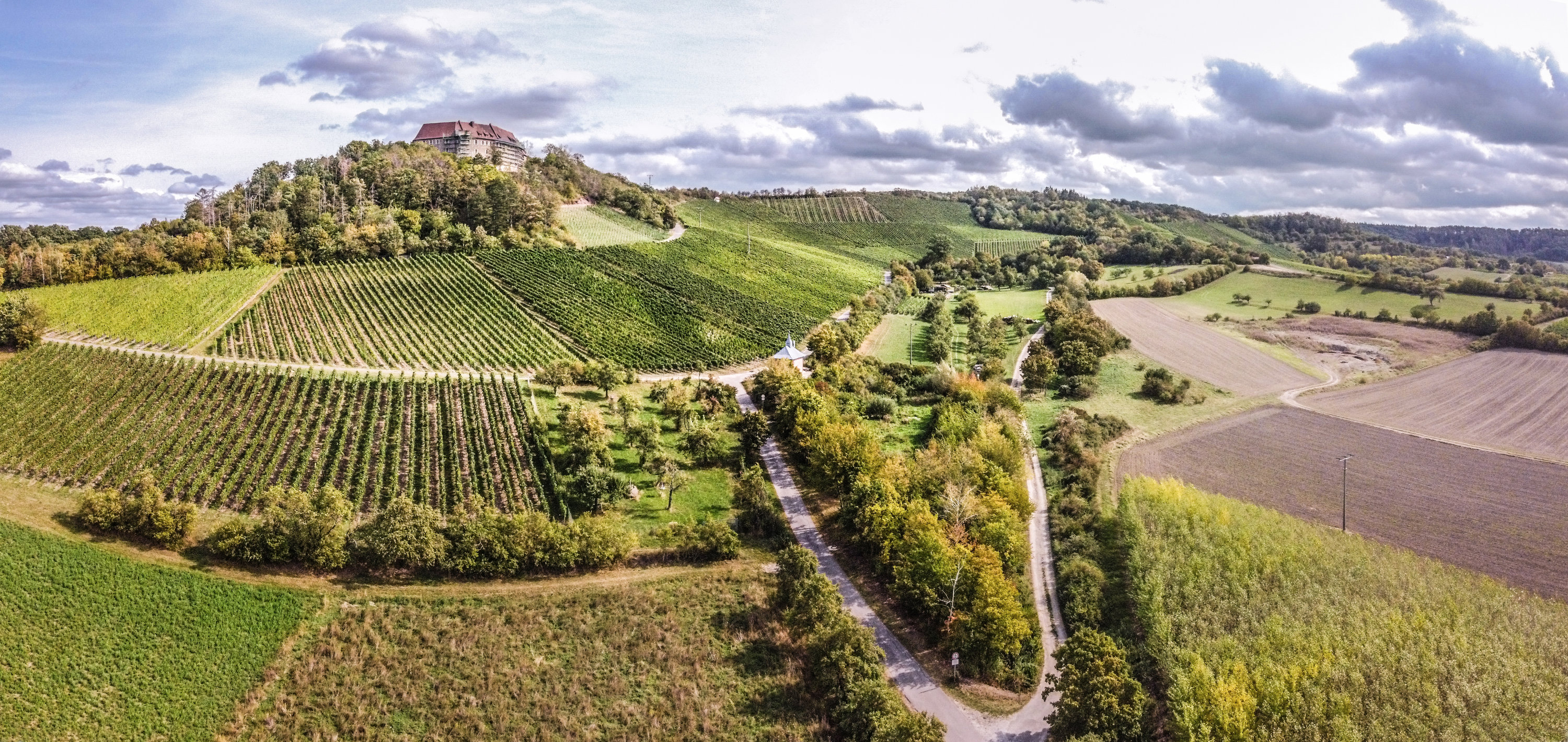 Ipsheimer Weinberge